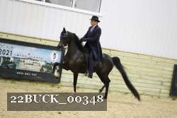22BUCK_00348 thumbnail