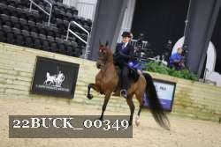 22BUCK_00349 thumbnail