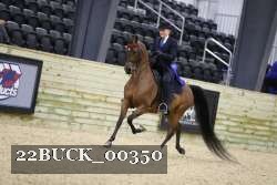 22BUCK_00350 thumbnail
