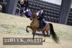 22BUCK_00351 thumbnail
