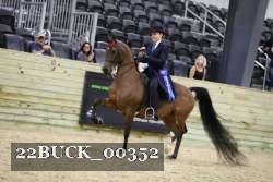 22BUCK_00352 thumbnail