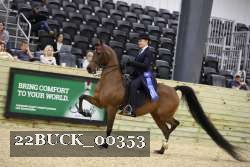 22BUCK_00353 thumbnail