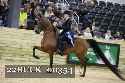 22BUCK_00354 thumbnail