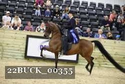 22BUCK_00355 thumbnail