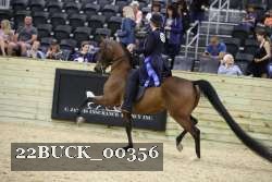 22BUCK_00356 thumbnail