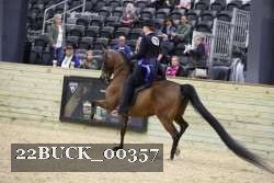 22BUCK_00357 thumbnail