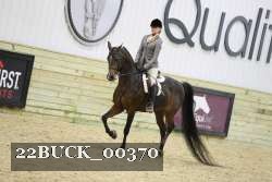 22BUCK_00370 thumbnail