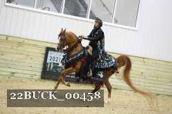 22BUCK_00458 thumbnail