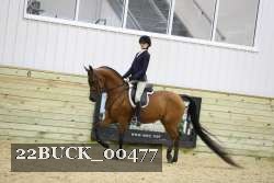 22BUCK_00477 thumbnail