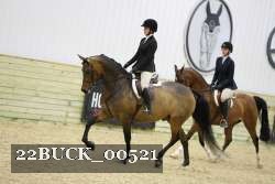 22BUCK_00521 thumbnail