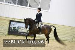 22BUCK_00526 thumbnail