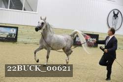 22BUCK_00621 thumbnail