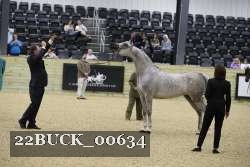 22BUCK_00634 thumbnail