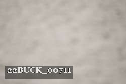 22BUCK_00711 thumbnail