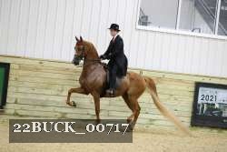 22BUCK_00717 thumbnail