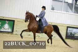 22BUCK_00719 thumbnail