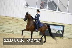 22BUCK_00727 thumbnail