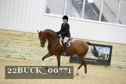 22BUCK_00771 thumbnail