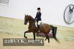 22BUCK_00774 thumbnail