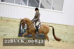 22BUCK_00842 thumbnail