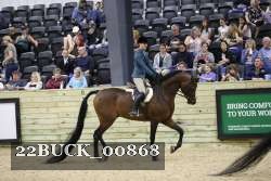 22BUCK_00868 thumbnail