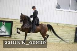 22BUCK_00880 thumbnail