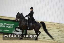 22BUCK_00907 thumbnail