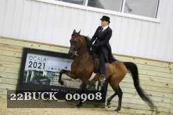 22BUCK_00908 thumbnail