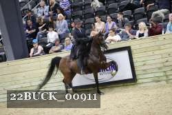22BUCK_00911 thumbnail