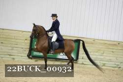 22BUCK_00932 thumbnail
