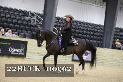 22BUCK_00962 thumbnail