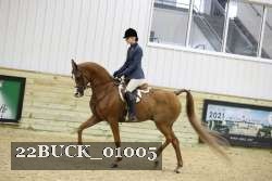 22BUCK_01005 thumbnail