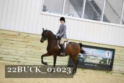 22BUCK_01023 thumbnail