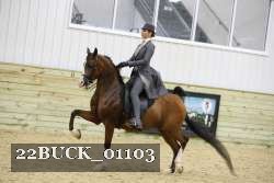 22BUCK_01103 thumbnail