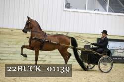 22BUCK_01139 thumbnail