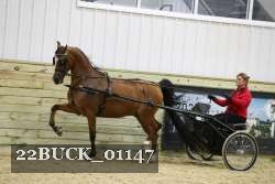 22BUCK_01147 thumbnail