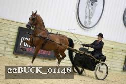 22BUCK_01148 thumbnail