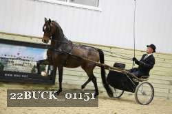 22BUCK_01151 thumbnail