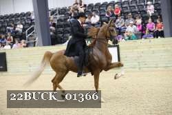 22BUCK_01366 thumbnail