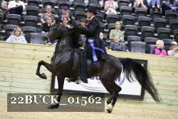 22BUCK_01562 thumbnail