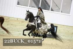 22BUCK_01571 thumbnail