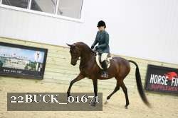 22BUCK_01671 thumbnail