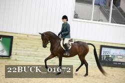 22BUCK_01672 thumbnail