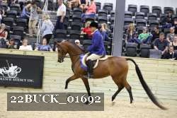 22BUCK_01692 thumbnail