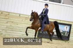 22BUCK_01714 thumbnail