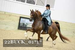 22BUCK_01717 thumbnail