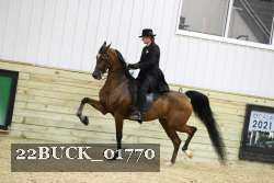 22BUCK_01770 thumbnail