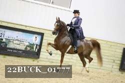 22BUCK_01777 thumbnail