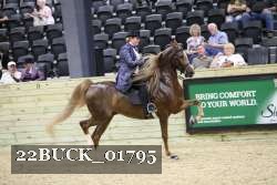 22BUCK_01795 thumbnail
