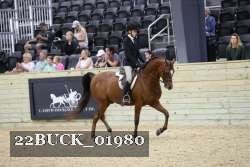 22BUCK_01980 thumbnail